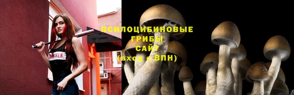 соль курить ск Алзамай