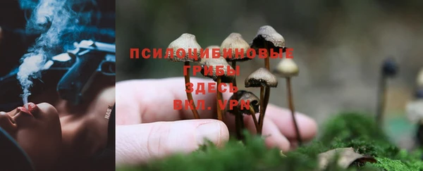 герыч Абинск