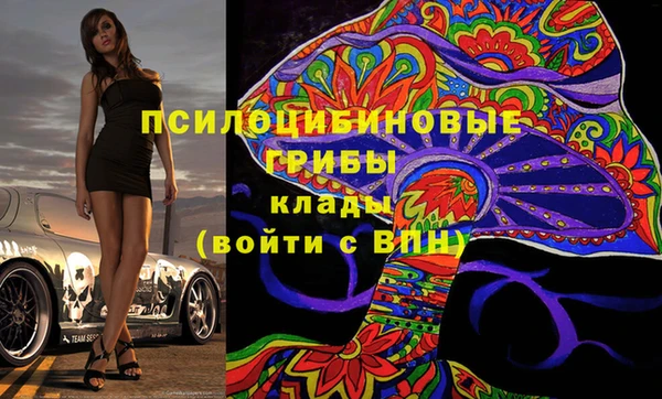 не бодяженный Алексин