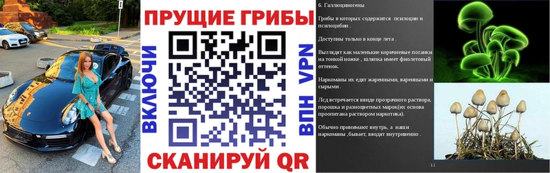 Галлюциногенные грибы Cubensis  Богородицк 