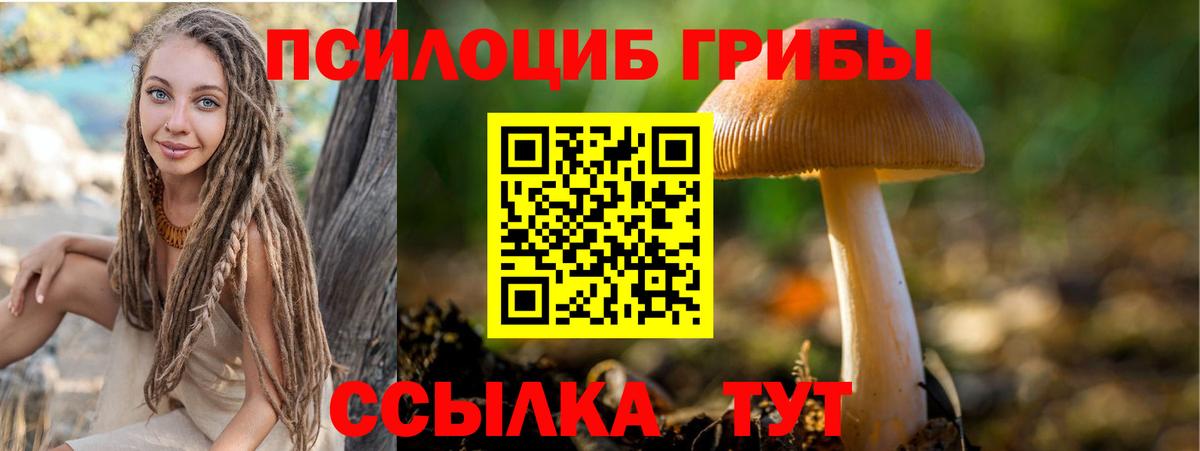 Богородицк  Галлюциногенные грибы Psilocybine cubensis  Галлюциногенные грибы GOLDEN TEACHER  Вход с VPN 
